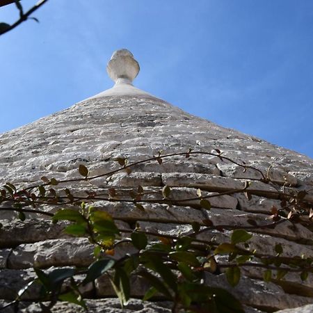 Quei Trulli Divini Bed and Breakfast Μαρτίνα Φράνκα Εξωτερικό φωτογραφία