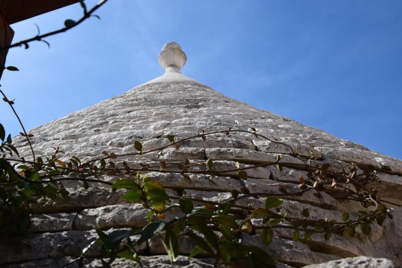 Quei Trulli Divini Bed and Breakfast Μαρτίνα Φράνκα Εξωτερικό φωτογραφία