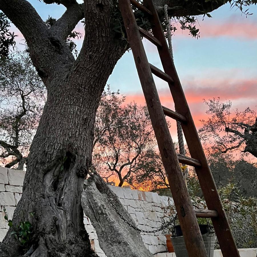 Quei Trulli Divini Bed and Breakfast Μαρτίνα Φράνκα Εξωτερικό φωτογραφία